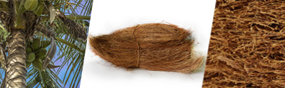 Présentation de la fibres de coco
