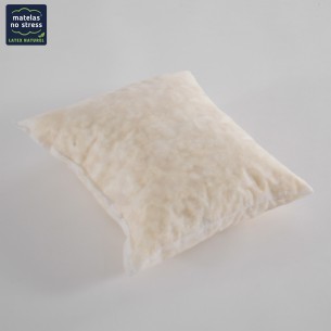 REMBOURRAGE D'OREILLER 2