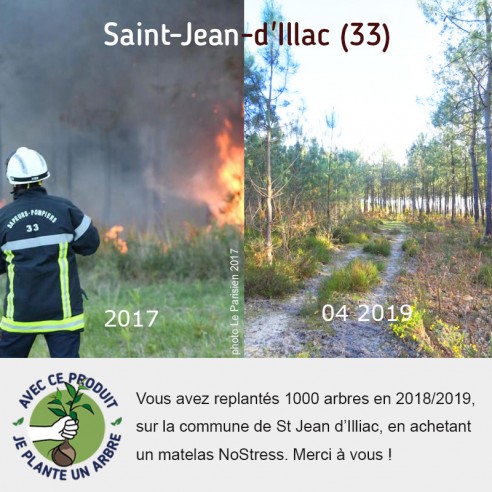 1 Commande 1 Arbre Plante Avec Reforest Action