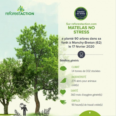 1 Commande 1 Arbre Plante Avec Reforest Action